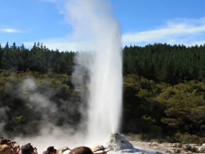 Wai O Tapu - Le Geyser Lady Knox