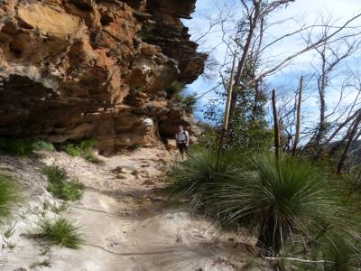 Blue mountains