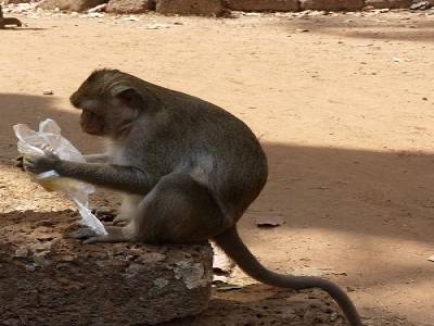 Angkor