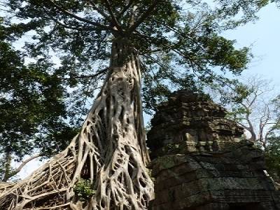 Angkor