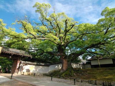Rues de Kyoto