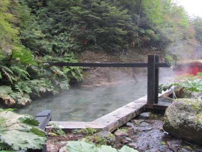 Termas Geometricas