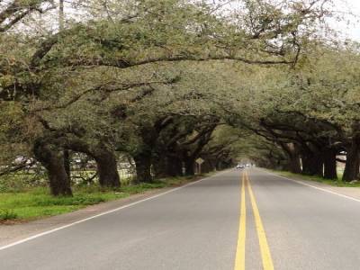 Chalmette