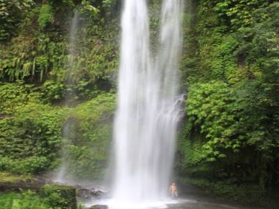 Chute no 1 près de Senaru