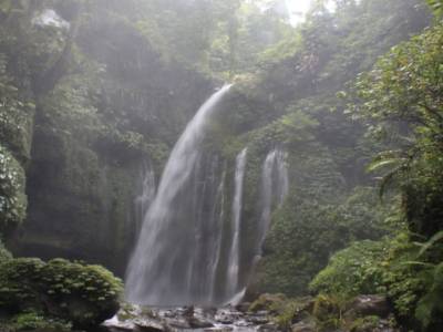 Chute no 2 près de Senaru