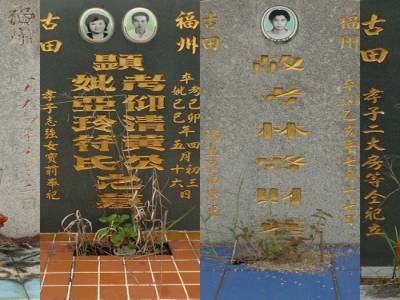 stele 