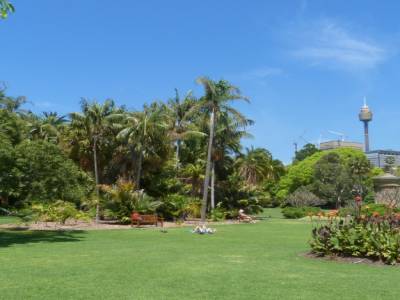 Botanic gardens
