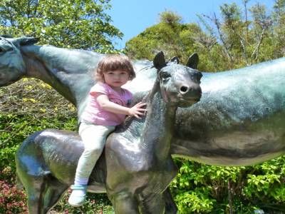 Botanic gardens