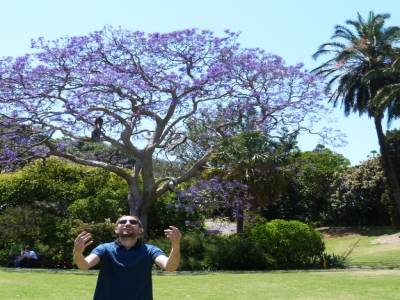 Botanic gardens