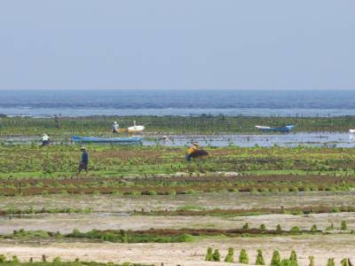 Nusa Lembongan