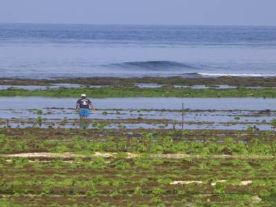 Nusa Lembongan