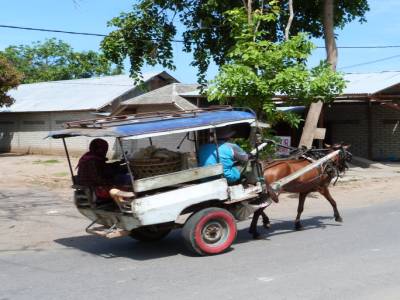 lombok