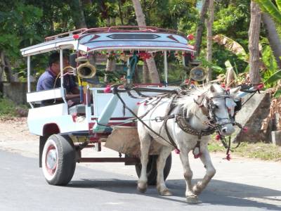 lombok