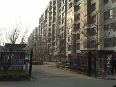 immeubles du quartier