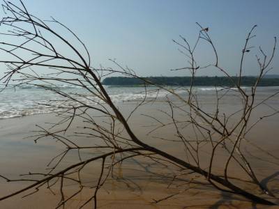 De l'autre cote la plage