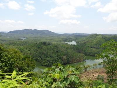 collines