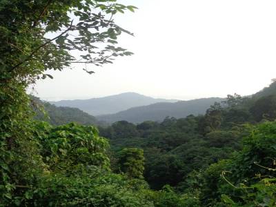 collines