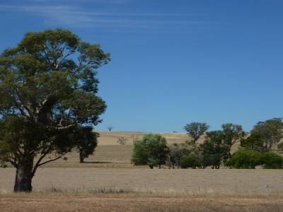 Paysage