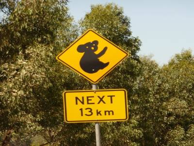 Premier panneau Koala