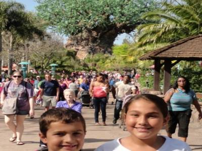 Disney Animal Kingdom
