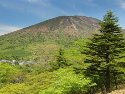 Nikko