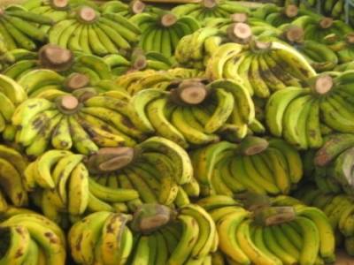 qui veux des bananes ?!