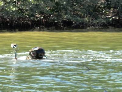 Tarpon Spring, Floride