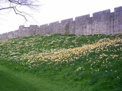 Cite d'York - Yorkshire