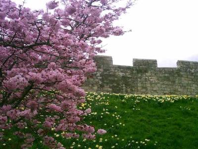 Cite d'York - Yorkshire