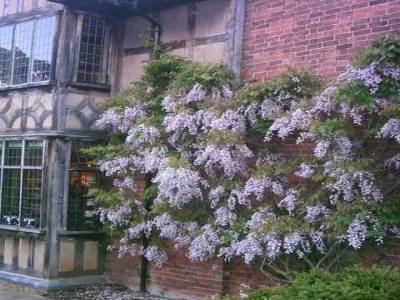 Stratford upon Avon