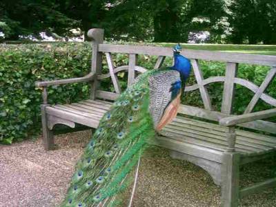 Warwick Castle
