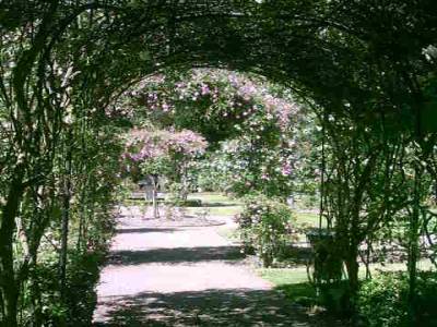 Warwick Castle