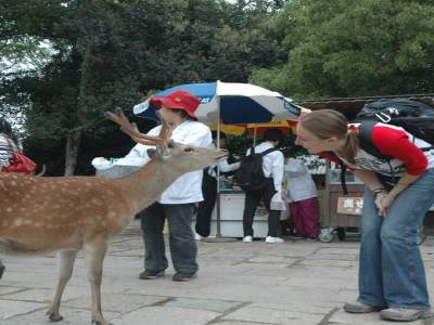 Nara