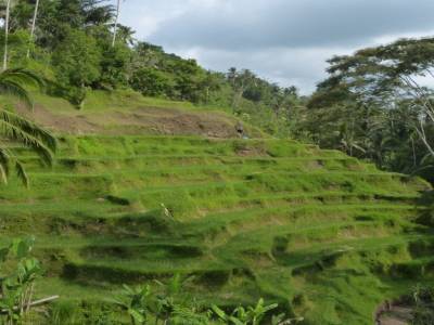Besakih