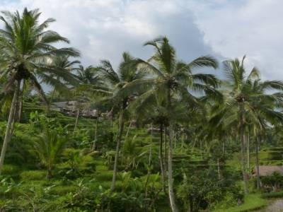 Besakih
