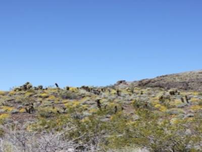 sur la route 66