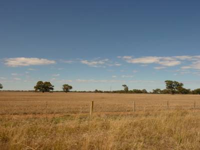 Paysage