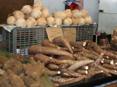 coco et racines