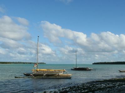les pirogues