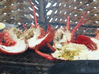 langoustes grillées au feu de bois