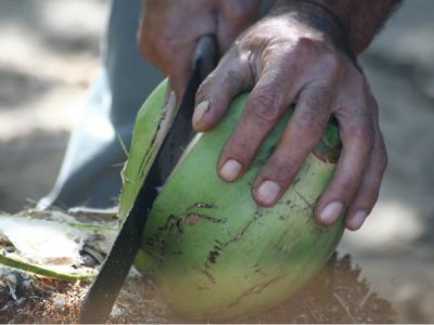découpage de fresh coconut