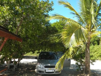 notre voiture cachée dans les palmiers