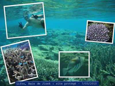 Lifou : le Nord et le site protégé de la Baie de Jinek... Sublimissima!
