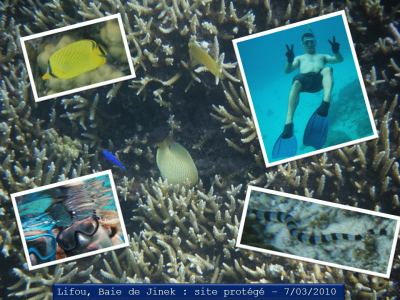 Lifou : Baie de Jinek