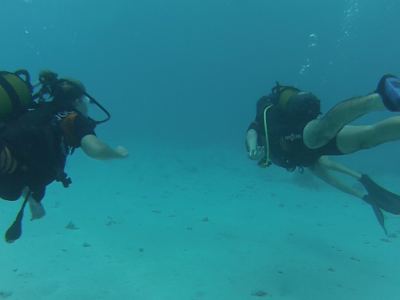Plongée au spot "l'Aquarium", Tahiti