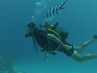 Plongée au spot "l'Aquarium", Tahiti