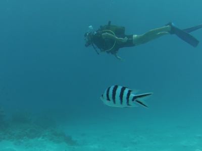 Plongée au spot "l'Aquarium", Tahiti