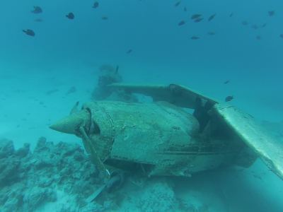 Plongée au spot "l'Aquarium", Tahiti