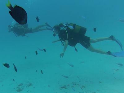 Plongée au spot "l'Aquarium", Tahiti