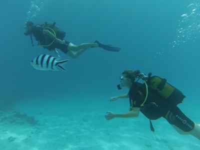La plongée à tahiti